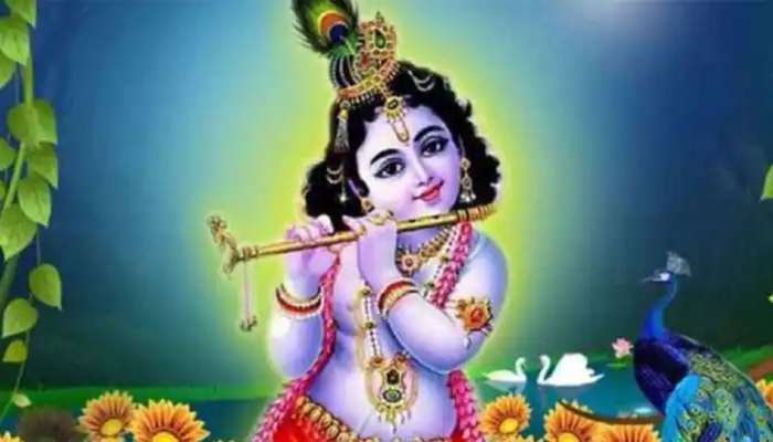 Krishna Janmashtami: கிருஷ்ண ஜென்மாஷ்டமி  வரலாறும்,  கொண்டாட்டங்களும் ..!!