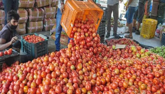 தக்காளி விலை கடும் வீழ்ச்சி தென்காசி விவசாயிகள் வேதனை 