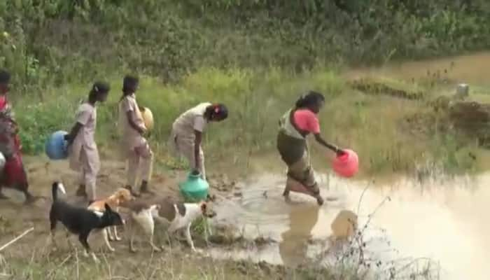 குடிநீருக்காக ஏங்கும் பிதிரெட்டி கிராம பழங்குடி மக்கள் - தாகத்தைத் தணிக்குமா தமிழ்நாடு அரசு ? 