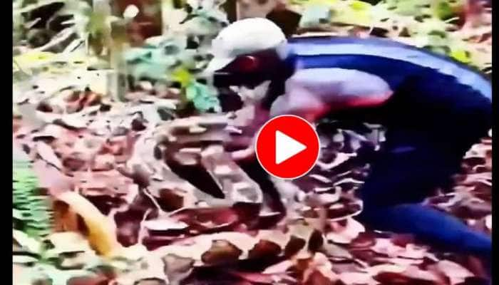 Viral Video: மலைப்பாம்பை கயிறு போல் முறுக்கும் நபர்; இதயத்தை உறைய வைக்கும் வீடியோ!