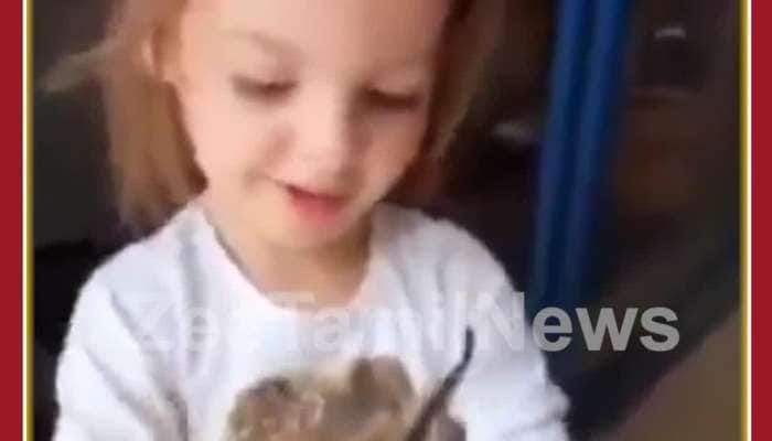 Cute Girl Plays with Dragon Spiders: Netizens Amused