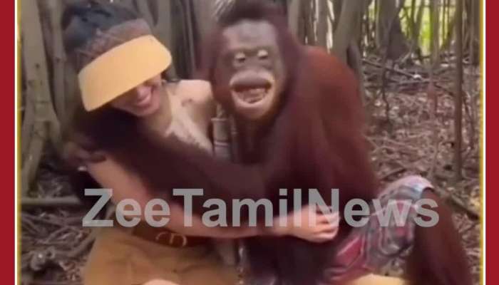 Funny Animal Video: Chimpanzee Kisses Girl, See What Happens Next