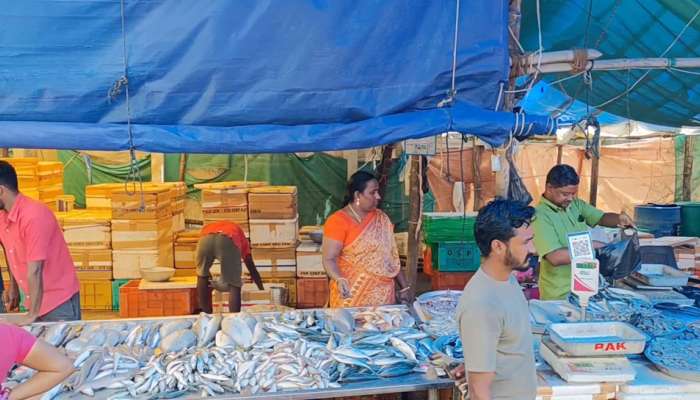 புரட்டாசி பிறந்தாச்சி: வெறிச்சோடிய காஞ்சிபுரம் மீன் சந்தை, விலை ஏற்றம் title=