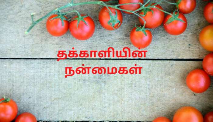 உடல் எடை அதிகரிக்காமல் இருக்க தக்காளி தெரஃபி! எடையை கட்டுப்படுத்தும் ஆரோக்கிய பழம் title=