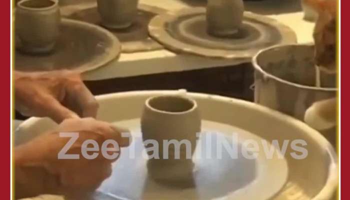 Funny Cat Video: Cute Cat Making Pot Creates Magic on the Internet, Netizens Love it