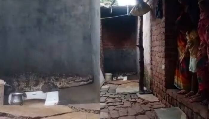 Video: கழிவறையில் புகுந்த முதலை... காலை கடனை கழிக்க முடியாமல் தவித்த குடும்பம்!