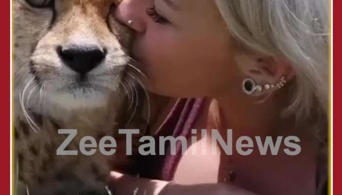 Stunning Viral Video: Girl Kisses Cheetah, Cuddles with him, Netizens Shocked