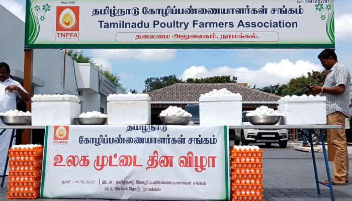 உலக முட்டை தினம்: நாமக்கல்லில் 10,000 முட்டைகள் இலவசமாக விநியோகம்