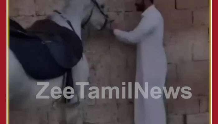 Funny Viral Video: Man Teases Horse, See How Horse Takes Revenge 