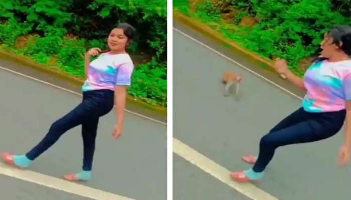 Funny Monkey Video: Monkey Attacks Girl Making Reels, See What Happens Next | 'ஏய்...இது என் ஏரியா..ஓடிப்போயிடு': பெண்ணை துரத்திய குரங்கின் வைரல் வீடியோ | Social News in Tamil Funny Monkey Video: Monkey Attacks Girl Making Reels, See What Happens Next | 'ஏய்...இது என் ஏரியா..ஓடிப்போயிடு': பெண்ணை துரத்திய குரங்கின் வைரல் வீடியோ | Social News in Tamil