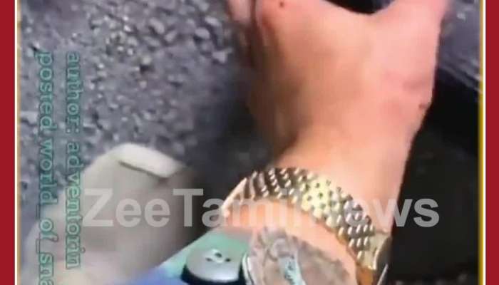 Scary Snake Video: Snake Bites Man, See what Happens Next