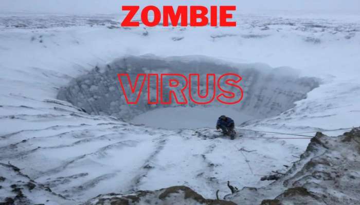 Zombie Virus: 48500 ஆண்டு பழைய வைரஸ்களுக்கு மீண்டும் உயிர் கொடுக்கும் விஞ்ஞானிகள்