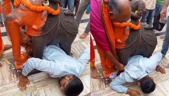 Viral Video: கோயிலில் யானை சிலையின் நடுவில் சிக்கிக் கொண்ட பக்தர்... வைரலாகும் வீடியோ!