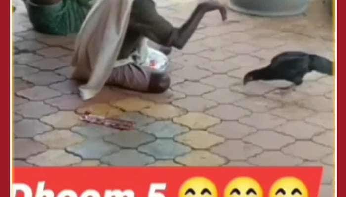 Old Man Viral Video: Old Man steals Hen, Netizens Shocked