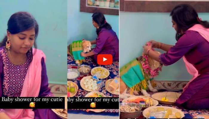 Dog Baby Shower Video: செல்ல நாய்க்கு வளைகாப்பு நடத்தி அழகு பார்க்கும் இளம்பெண் வீடியோ வைரல்