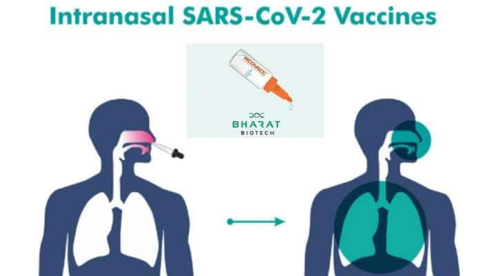 ஊசியில்லா கொரோனா தடுப்பு மருந்து iNCOVACC! இனி கொரோனா பயம் கொஞ்சம் குறையும் title=