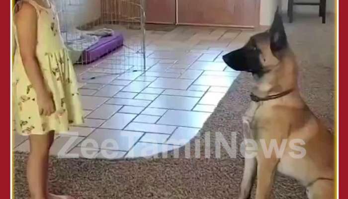 Cutest Viral Video: Dog Plays Hide and Seek with Girl