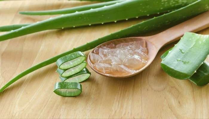 எச்சரிக்கை! அளவுக்கு மிஞ்சிய Aloe Vera கல்லீரலை பாதிக்கும்!