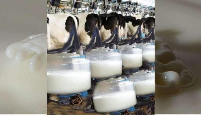 Sri Lanka Milk: பால் உற்பத்தியில் தன்னிறைவடைய இலங்கைக்கு உதவும் இந்தியா