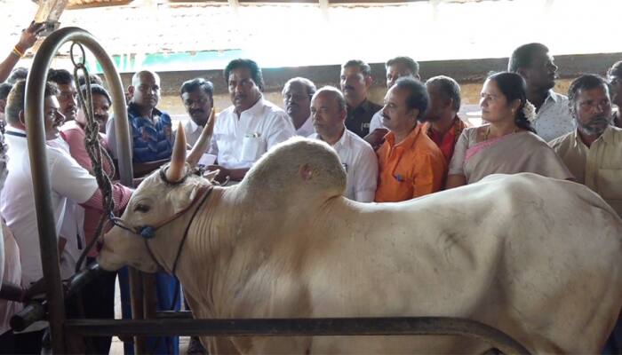 அலங்காநல்லூர் ஜல்லிக்கட்டை உதயநிதி தொடங்கிவைப்பார்... பரிசுகள் அறிவிப்பு