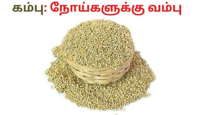 Millet: ஆரோக்கியத்தின் அஸ்திவாரம் கம்பு! சிறுதானியம் கம்பை மிஸ் செய்யாதீங்க