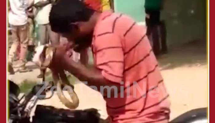 Unbelievable Viral Video: Man Eats Snake Alive, Netizens go Crazy