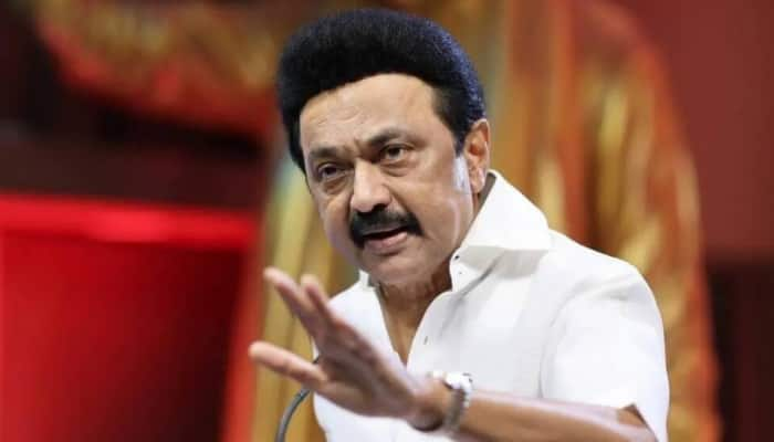 CM Stalin on Governor Issue: ஆளுநர் பிரச்னையில் திமுகவினர் இதைதான் செய்ய வேண்டும் - ஸ்டாலின் கூறியது என்ன?