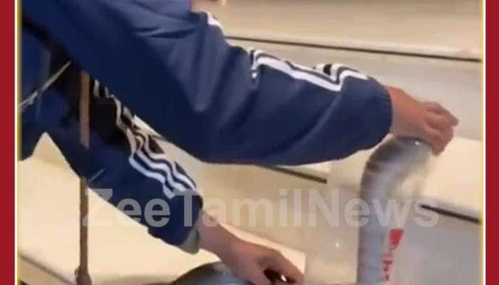 Scary Viral Video: Girl Catches Dangerous Snake by Hand