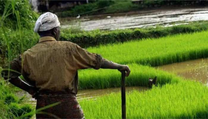 உயிரே போனாலும் விதைநெல்லை உணவாக்கி உண்ணமாட்டார்கள், உழவர்கள்! title=