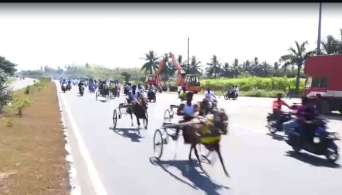 Pongal 2023: ஆத்தூர் உடையார்பாளையத்தை மிரட்டிய மாபெரும் குதிரை ரேக்ளா போட்டி! title=