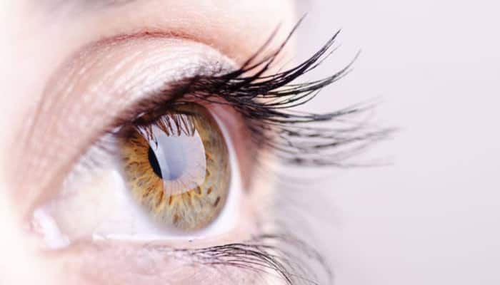 Eye Health: கண் பார்வையை பிரச்னை தீர... ஆயுர்வேதம் பரிந்துரைக்கும் உணவு பொருள்கள் - இதோ!