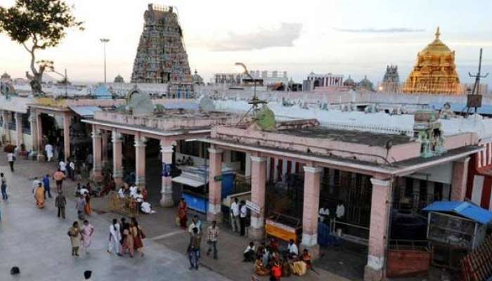 பழநி கோவிலில் இன்று வேள்வி பூஜை துவக்கம்!