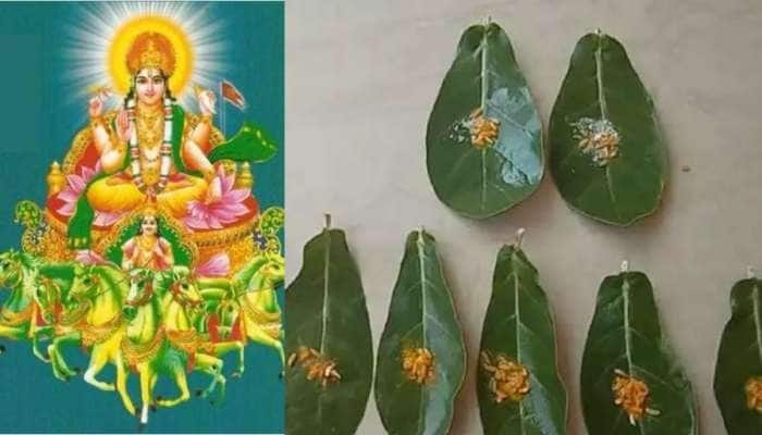 Ratha Saptami: சூரிய பகவானுக்கு பிறந்தநாள் வாழ்த்துகள்! தை மாத ரத சப்தமி வழிபாடு title=