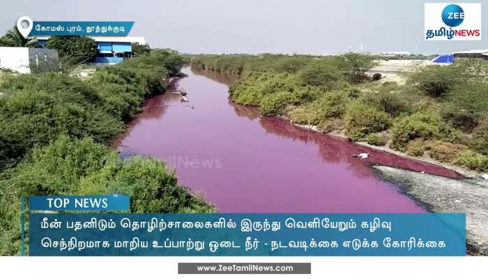 மீன் பதனிடும் தொழிற்சாலையால் செந்நிறமாக மாறிய உப்பாற்று ஓடை நீர்