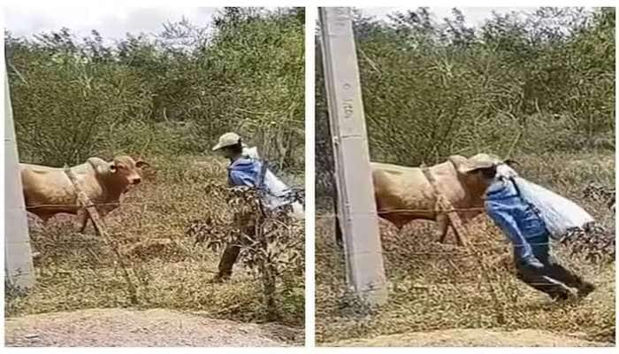 உங்க சிரிப்புக்கு நாங்க கேரண்டி: வயிறு குலுங்க சிரிக்க வைக்கும் வைரல் வீடியோ