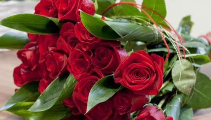 Happy Rose Day 2023: இன்று இந்த கவிதைகளை அனுப்பி அசத்துங்கள்! 