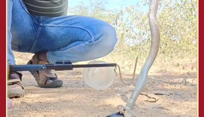 Snake Rescue Video Goes Viral