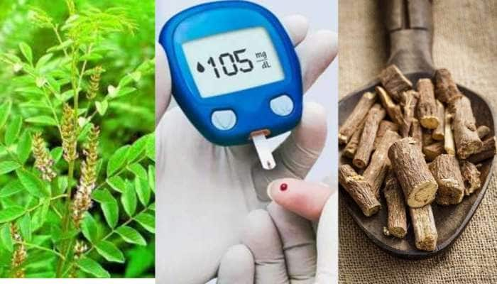 Diabetics: சர்க்கரை நோயாளிகளுக்கு &#039;அமிர்தமாகும்&#039; அதிமதுரம்!