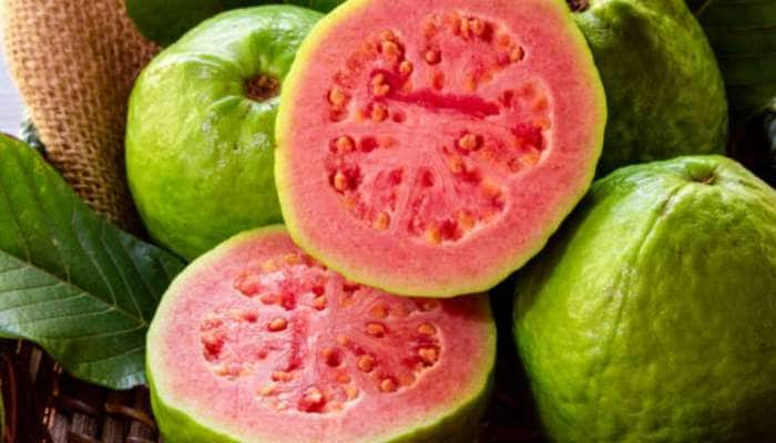 Guava Benefits; பைல்ஸ் பிரச்சனைக்கு கொய்யா எனும் அருமருந்து..! வாயு பிரச்சனைக்கும் நிவாரணம் title=