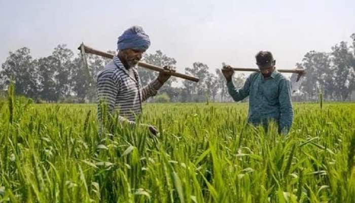 PM Kisan Yojana: இந்த விவசாயிகளுக்கு 13-வது தவணை கிடைக்காது! ஏன் தெரியுமா?