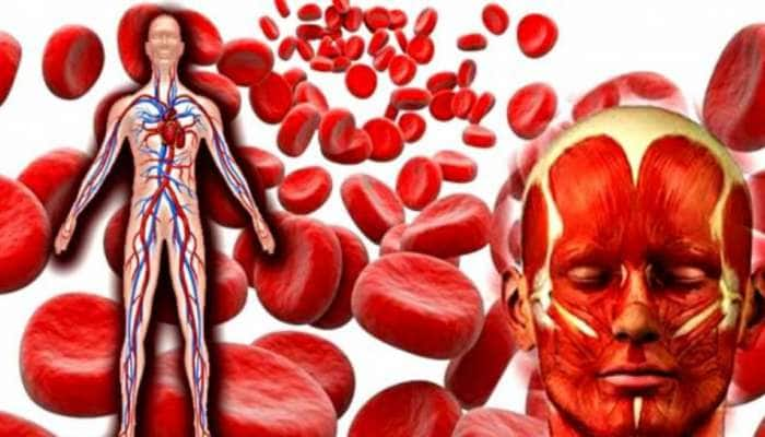 Blood Purifier: ரத்தத்தை சுத்தம் செய்ய ‘இந்த’ உணவுகளை டயட்டில் சேர்க்கவும்!