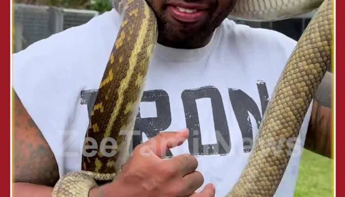 Huge Python Bites Man: Viral Video 