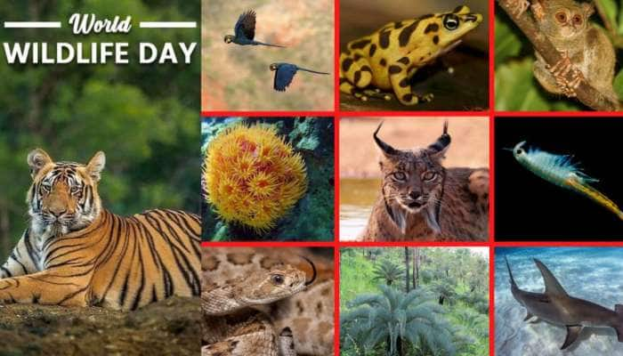 World Wildlife Day 2023: புவியை காப்பாற்றுங்கள்! கதறும் இயற்கை! உலகில் மனிதர்கள் மட்டுமா வாழ்கின்றனர்?