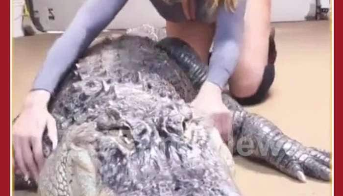 Woman gives Massage to Crocodile, Netizens in Shock