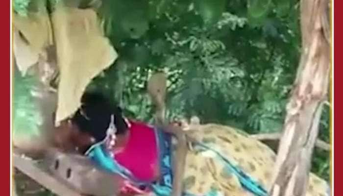 Scary Snake Video Cobra Wraps Sleeping Woman