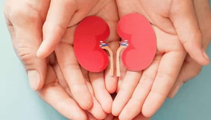 World Kidney Day: ஆண்டுதோறும் லட்சக்கணக்கான உயிரிழப்புகள்... ஏன் சிறுநீரகம் மிக மிக முக்கியம்? title=