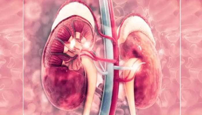 Kidney Detox: சிறுநீரகத்தை இயற்கையாக சுத்தம் செய்யும் ‘சூப்பர்’ உணவுகள்!