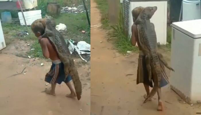 Viral Video: முதலையுடன் உப்பு மூட்டை விளையாடும் சிறுவன்... ரொம்ப தைரியம் தம்பி!