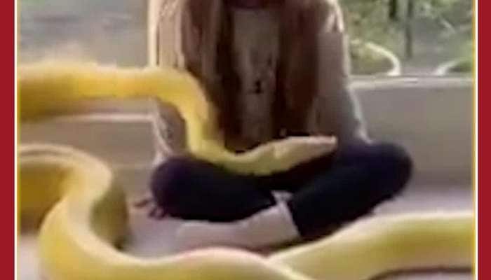 Scary Viral Video: Girl Playing With Dangerous Snake Shocks Netizens 