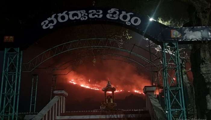 ஸ்ரீகாளஹஸ்தி கைலாசகிரி மலையில் மர்ம நபர்கள் வைத்த தீ!  அரிய மூலிகை செடிகள் எரிந்து நாசம்